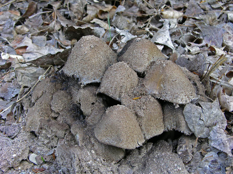 Ritrovamenti sabato 14 aprile.